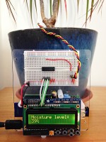Build a Raspberry Pi Moisture Sensor to Monitor Your Plants