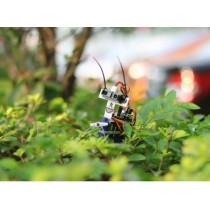 Insect bot