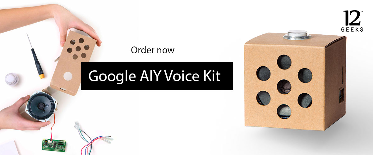 Google AIY Voice Kit V2.0